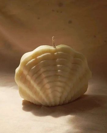 Shell Candle